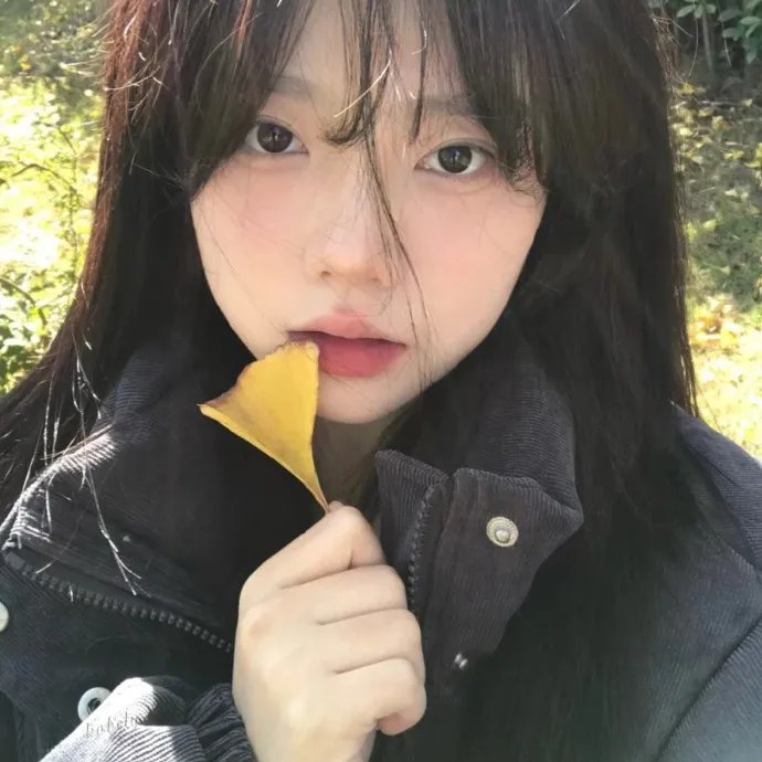 情杀疑云